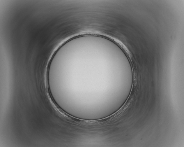 X0000112491295200908170944