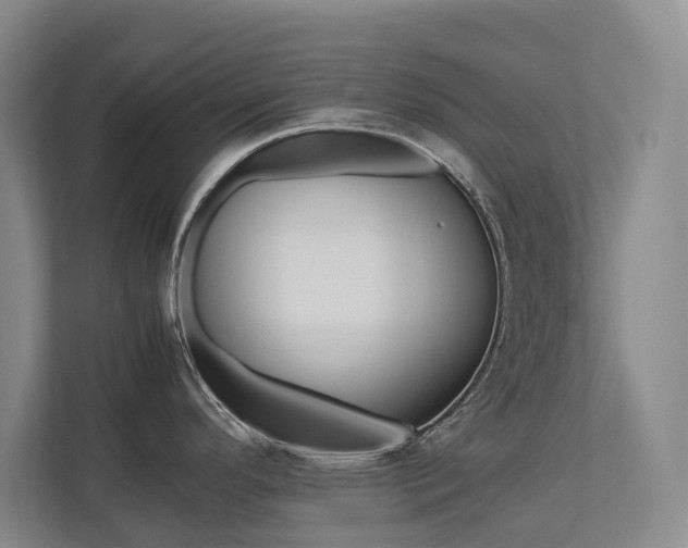 X0000112491296200908170944