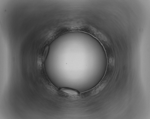 X0000112491300200908170943