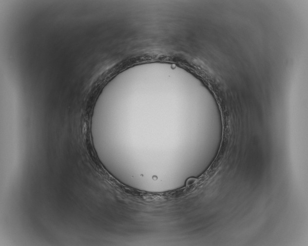 X0000112491302200908170943