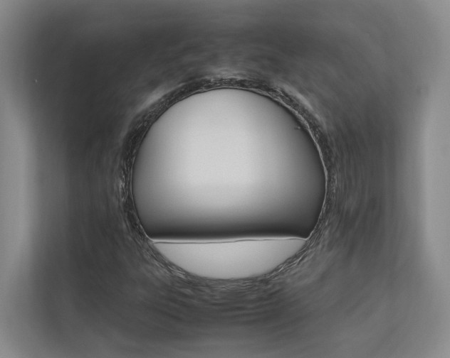 X0000112491303200908170943