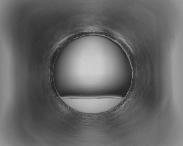X0000112491304200908170943
