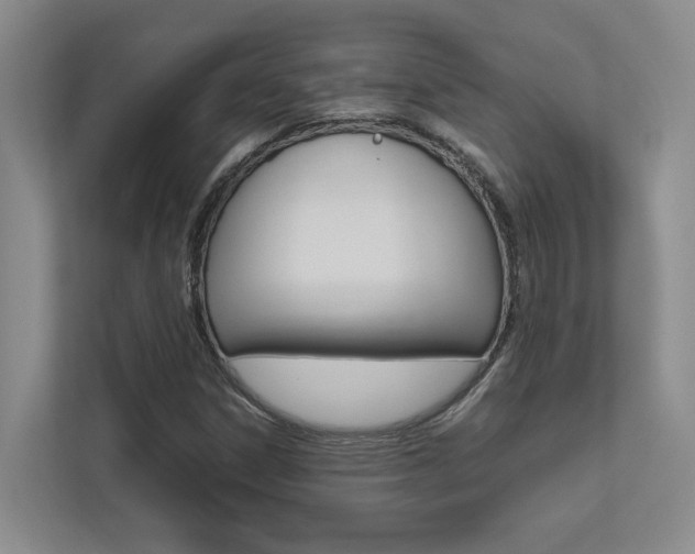 X0000112491306200908170943