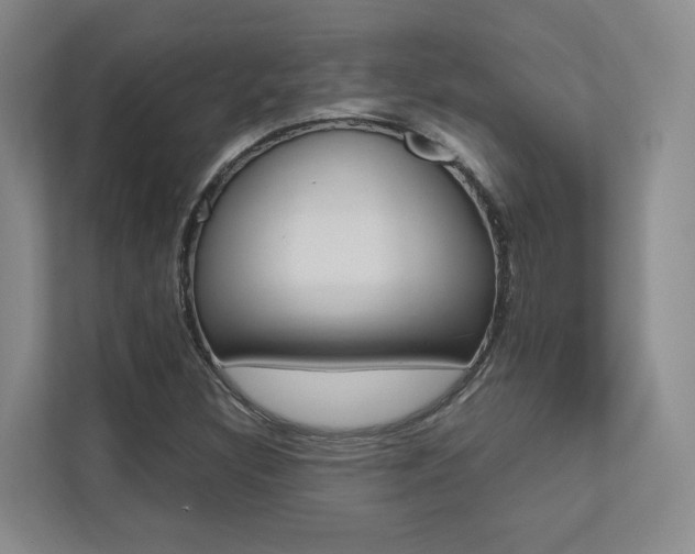 X0000112491308200908170943
