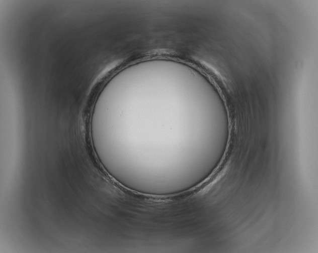 X0000112491309200908170943