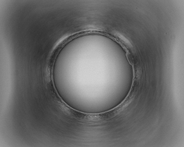 X0000112491310200908170943
