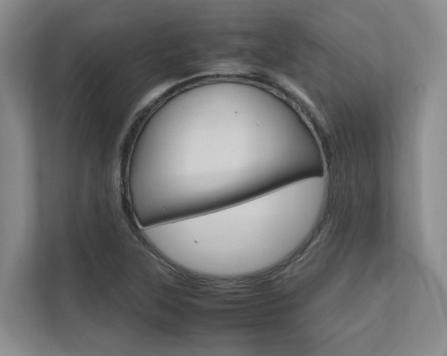 X0000112491315200908170943