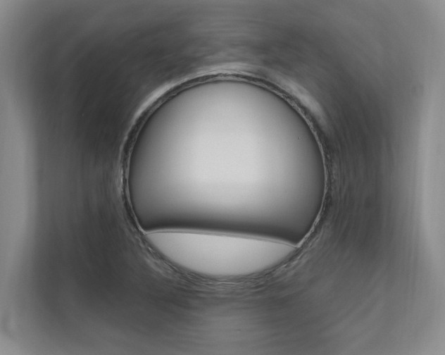 X0000112491316200908170943