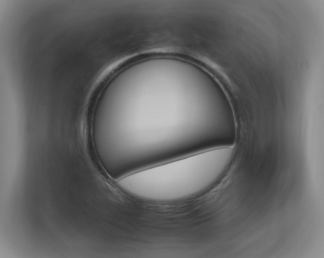 X0000112491319200908170943