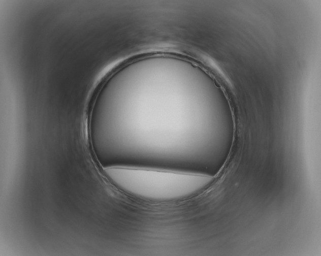 X0000112491320200908170943
