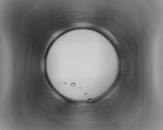 X0000112491322200908170943