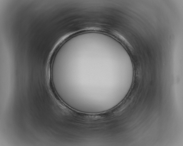 X0000112491323200908170943