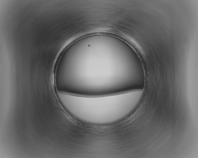 X0000112491324200908170943