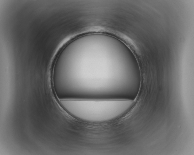 X0000112491326200908170943