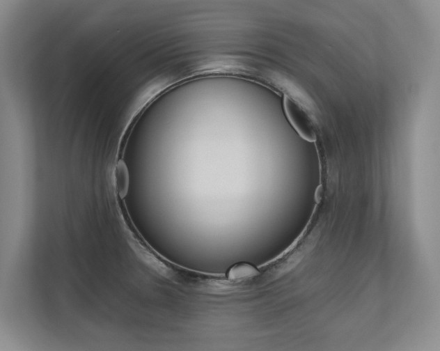 X0000112491330200908170943