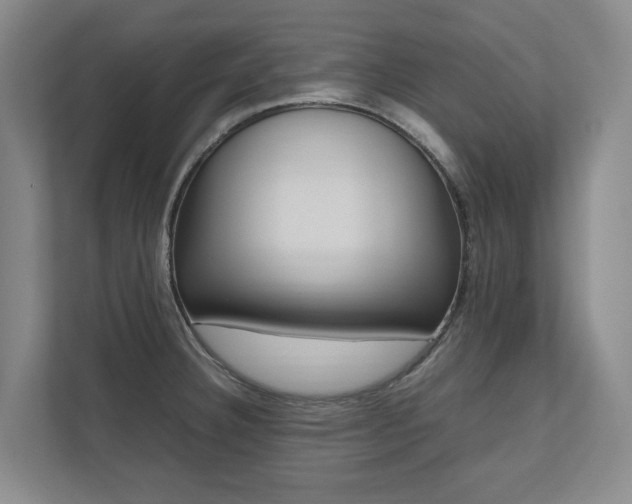 X0000112491332200908170943