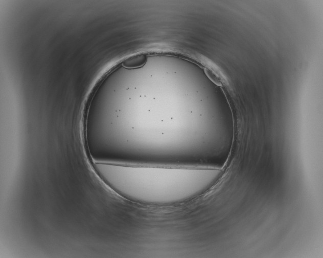 X0000112491334200908170943