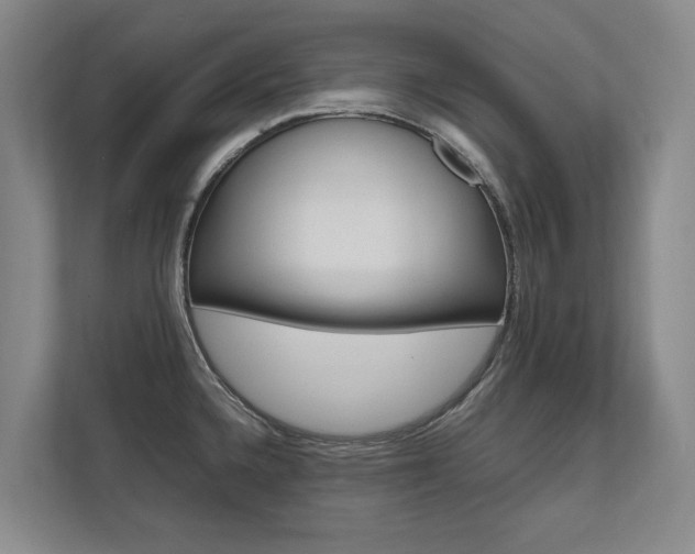 X0000112491336200908170943