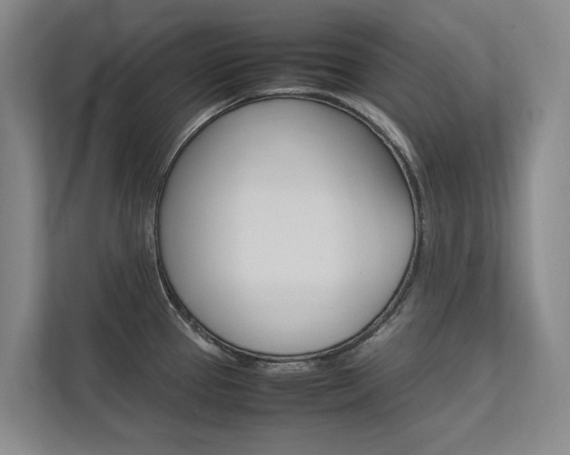 X0000112491337200908170943