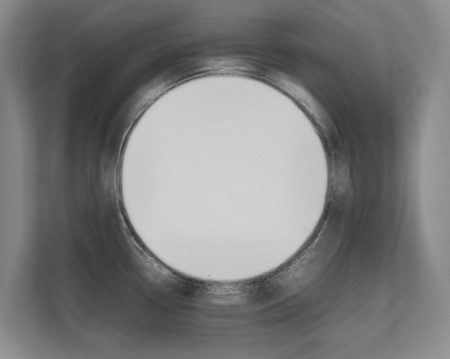 X0000112491338200908170943