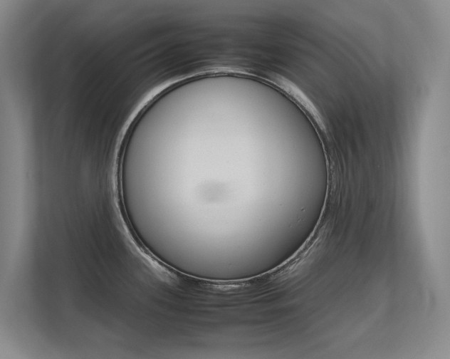 X0000112491339200908170943