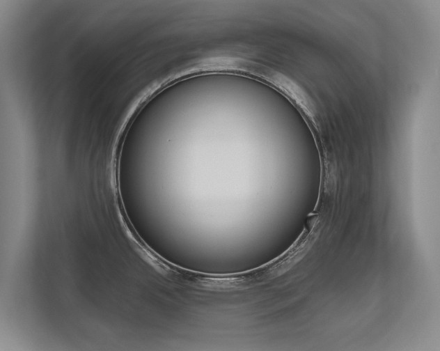 X0000112491342200908170944