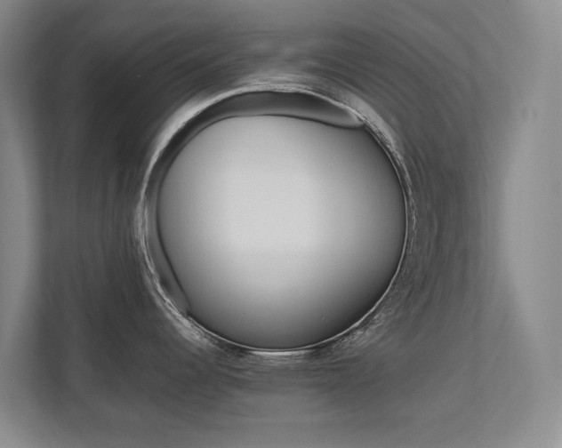 X0000112491344200908170944