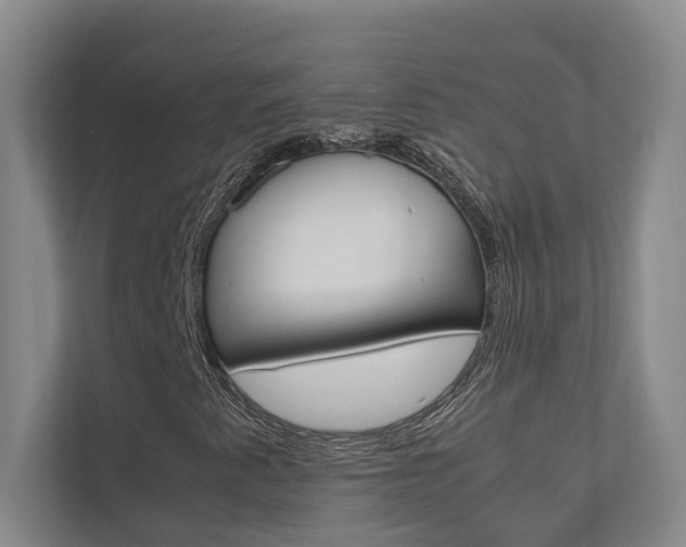 X0000112491345200908170943