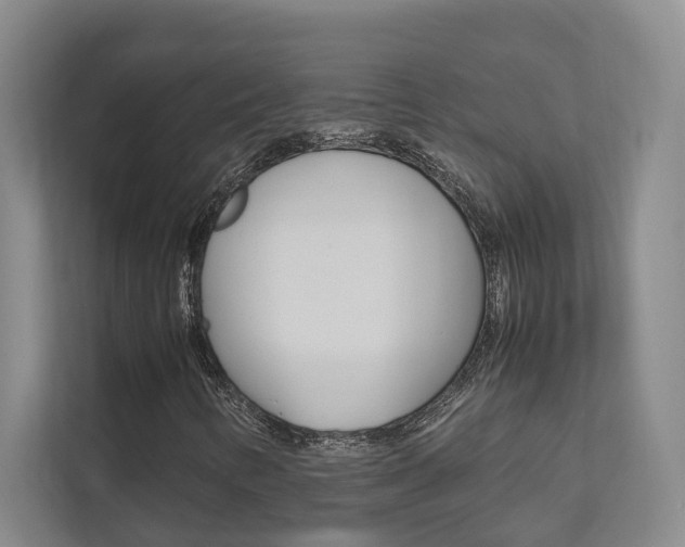 X0000112491346200908170943