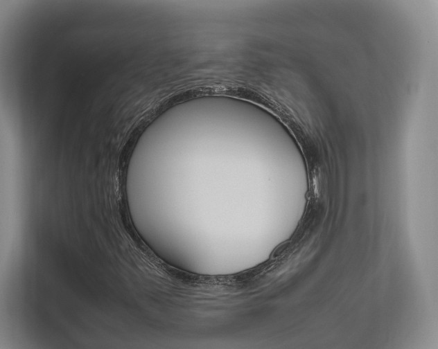 X0000112491347200908170943