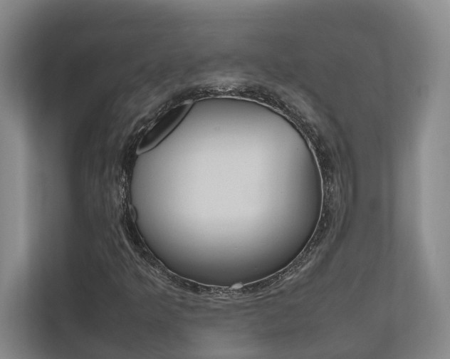 X0000112491349200908170943