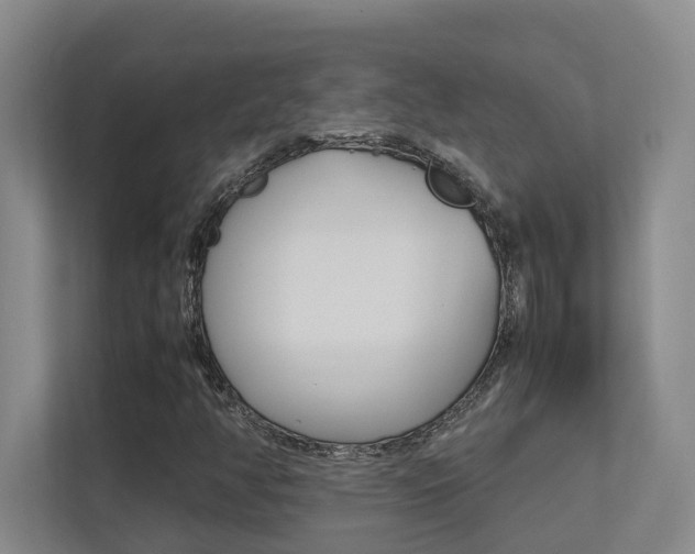 X0000112491350200908170943