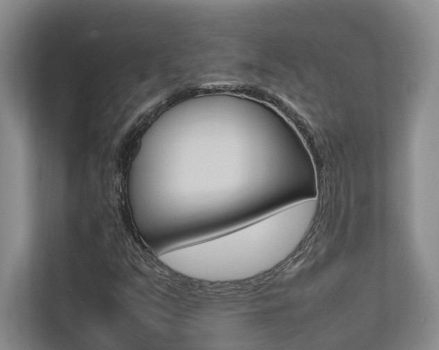 X0000112491351200908170943