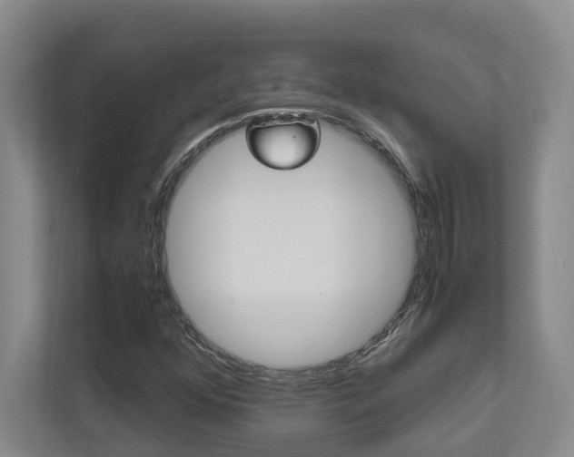 X0000112491352200908170943