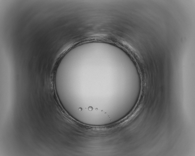 X0000112491354200908170943