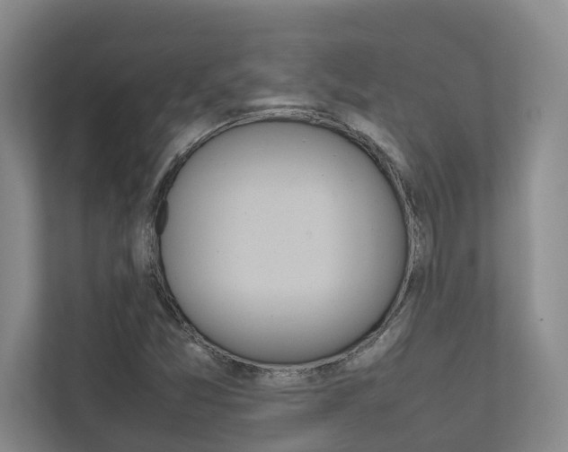 X0000112491357200908170943