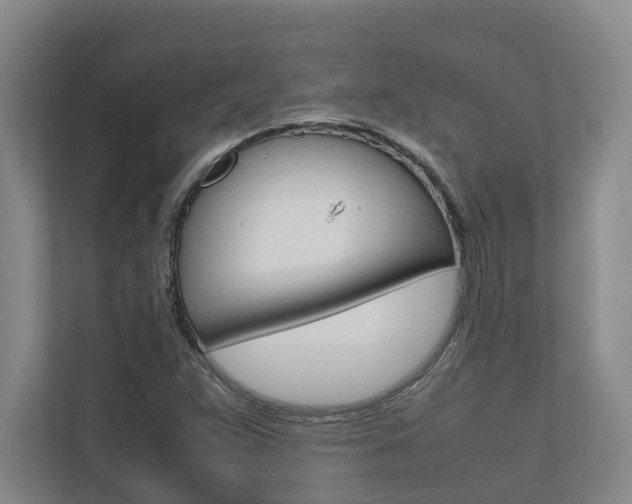 X0000112491359200908170943