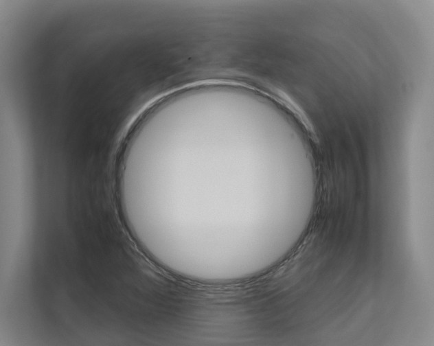 X0000112491360200908170943