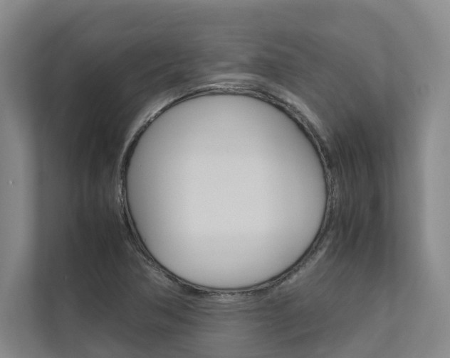 X0000112491362200908170943