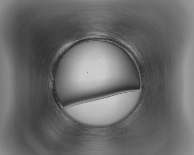 X0000112491363200908170943