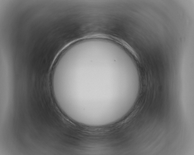 X0000112491364200908170943