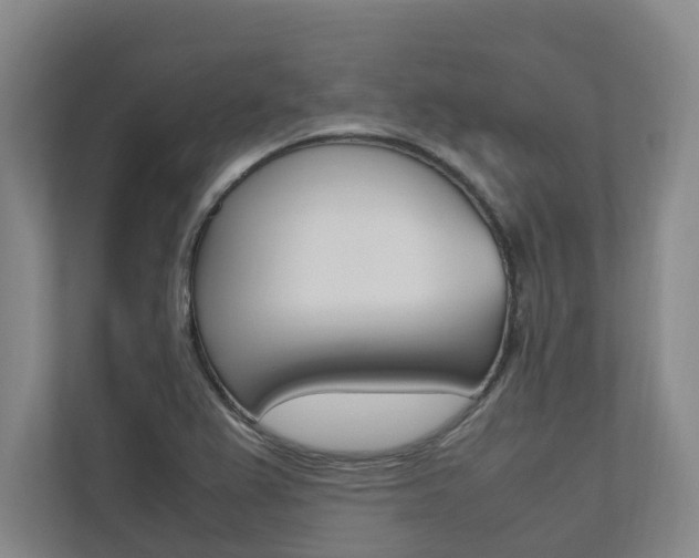 X0000112491367200908170942