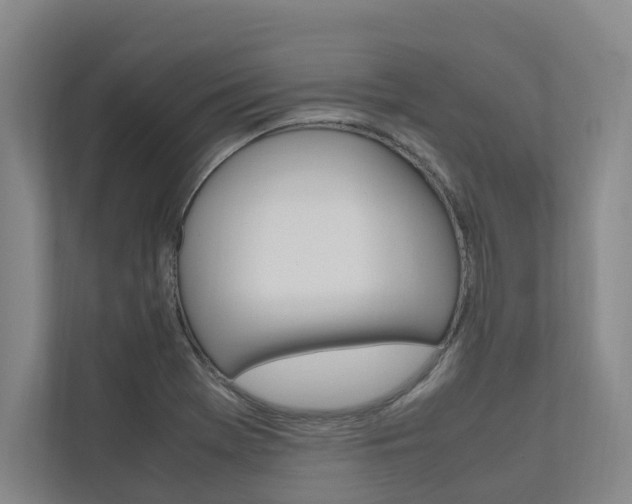 X0000112491369200908170942