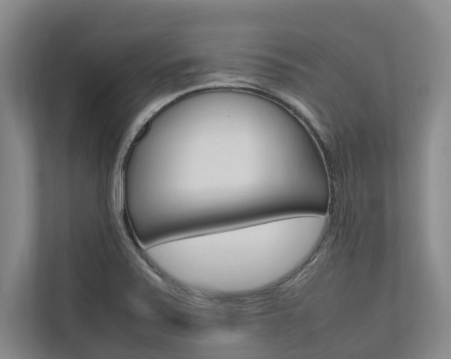 X0000112491371200908170942