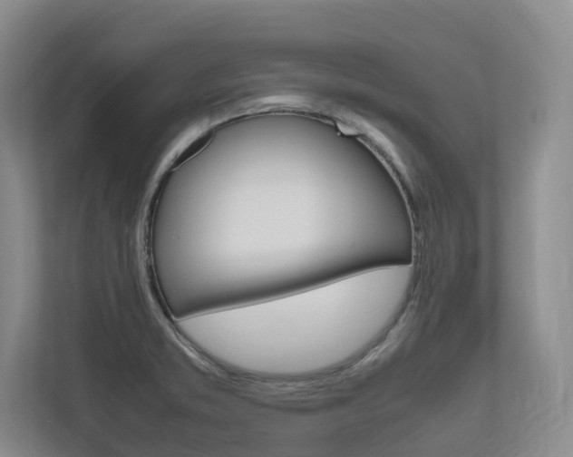 X0000112491373200908170942