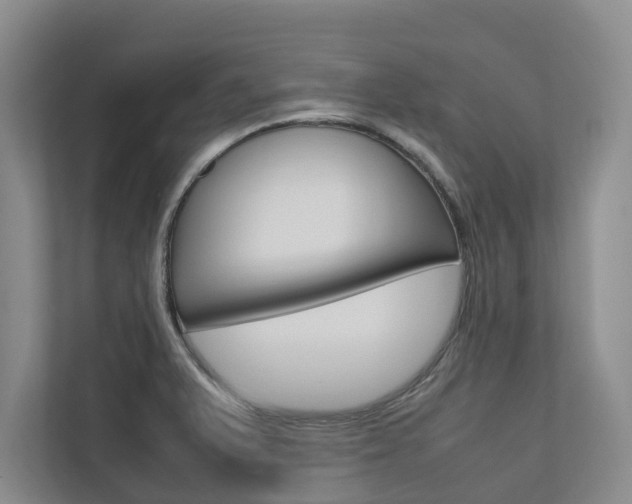 X0000112491375200908170942