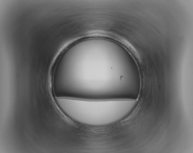 X0000112491376200908170942