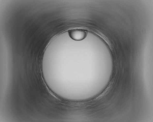 X0000112491377200908170942