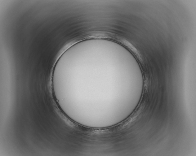 X0000112491378200908170942