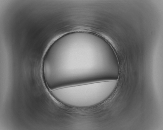 X0000112491379200908170942